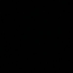 Meet your Posher, Adrian